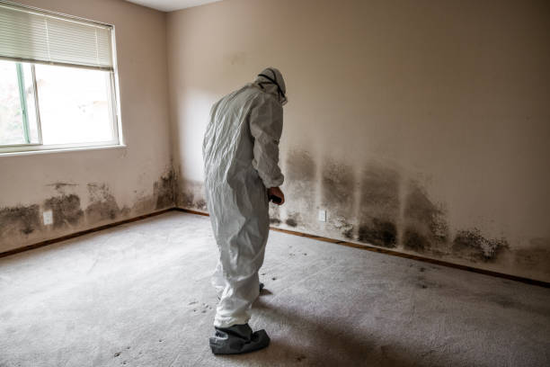 Crawl Space Mold Removal in Welcome, SC